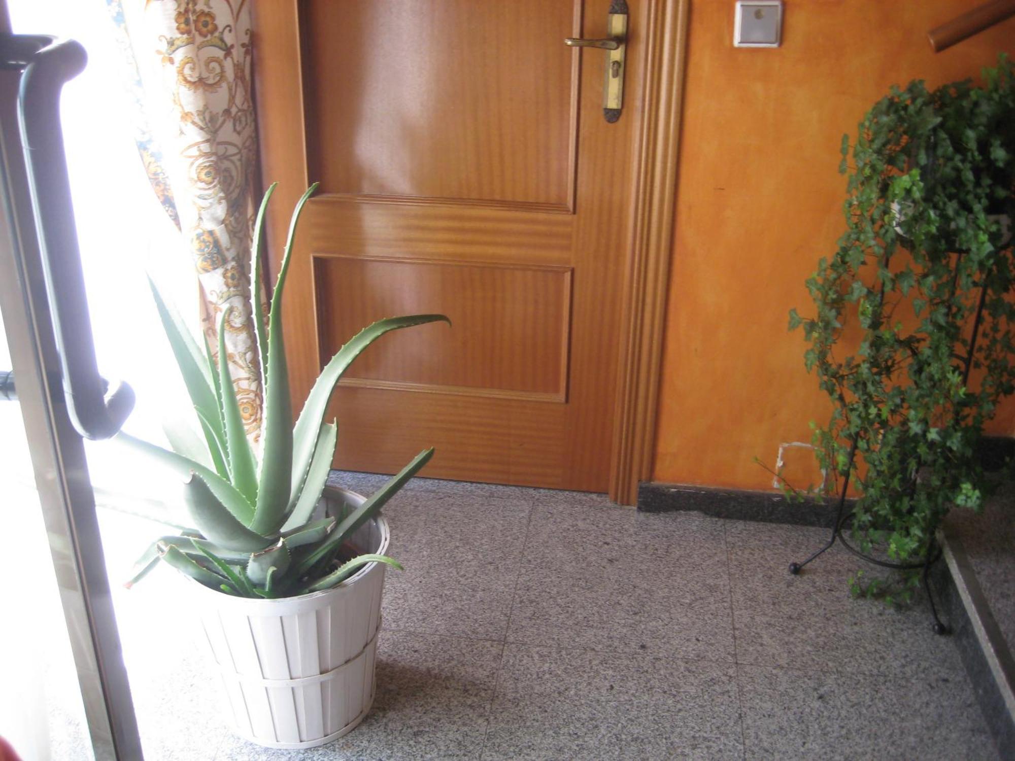 Hostal El Pinar Ávila Ngoại thất bức ảnh